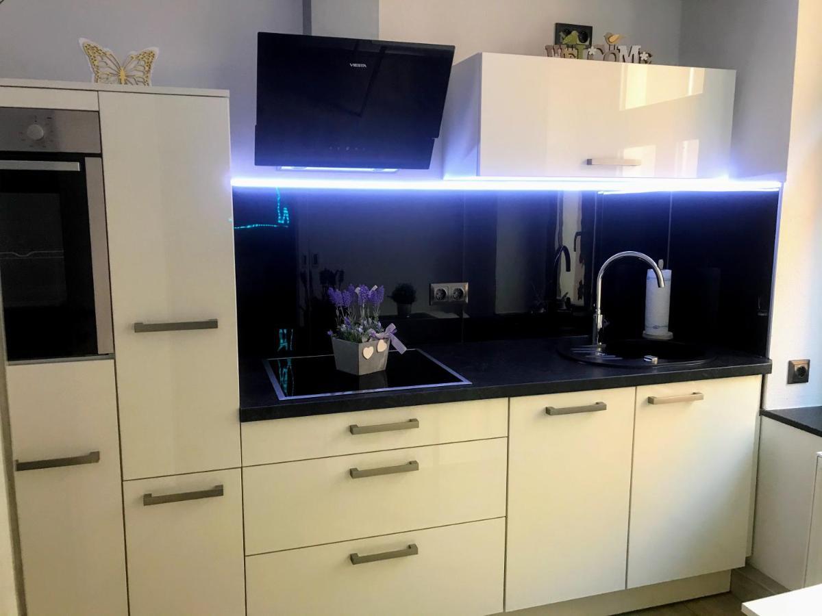 Salzhausblick Business Apartments - Zentrale Lage Am Salzhaus - Mwst-Rechnung Verfuegbar Zittau Δωμάτιο φωτογραφία