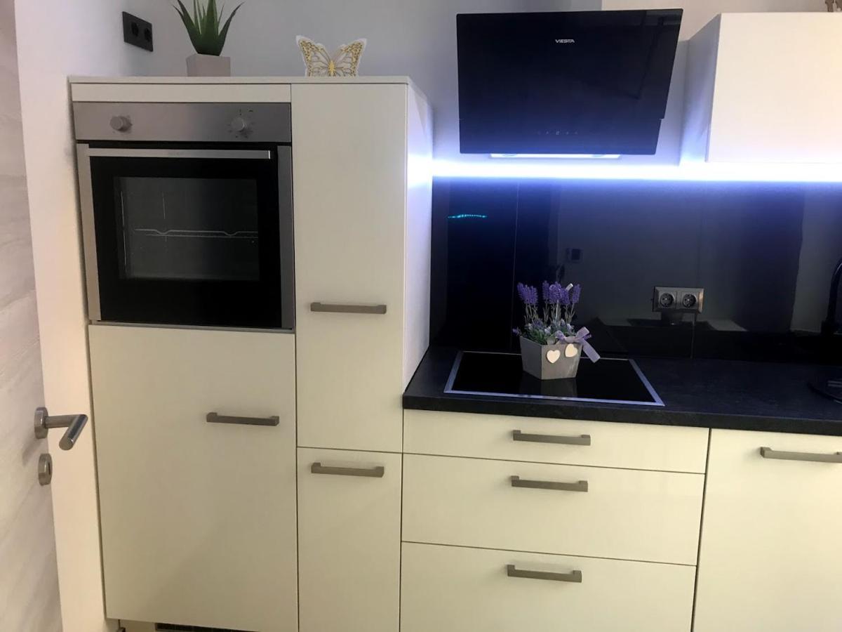 Salzhausblick Business Apartments - Zentrale Lage Am Salzhaus - Mwst-Rechnung Verfuegbar Zittau Δωμάτιο φωτογραφία