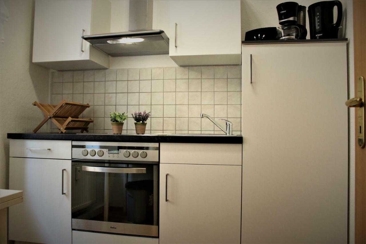 Salzhausblick Business Apartments - Zentrale Lage Am Salzhaus - Mwst-Rechnung Verfuegbar Zittau Εξωτερικό φωτογραφία
